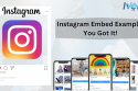 Instagram embed example - you got it!