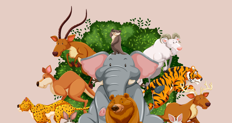 Little known facts about wildlife and why they matter