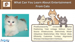learn about entertainment from cats