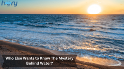 Who Else Wants to Know The Mystery Behind Water?