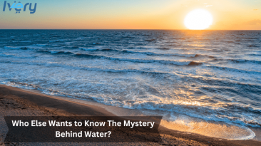 Who Else Wants to Know The Mystery Behind Water?