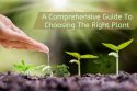A comprehensive guide to choosing the right plant