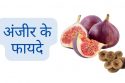 अंजीर के फायदे और उपयोग