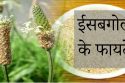 ईसबगोल के लाभ