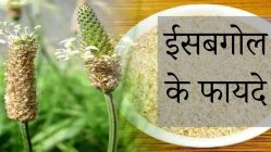 ईसबगोल के लाभ