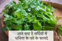 धनिया पत्ती के फायदे