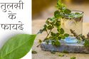 तुलसी पिने के फायदे