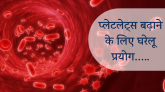 प्लेट्सलेट्स बढ़ाने के घरेलू प्रयोग