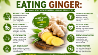 main benefits of eating ginger