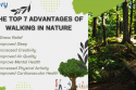 The Top 7 Advantages Of Walking In Nature