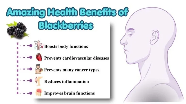 Benefits of Blackberries