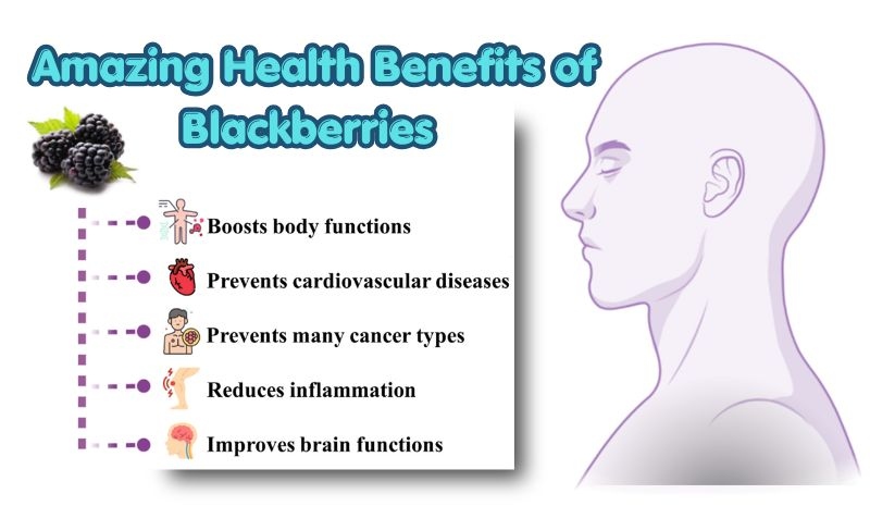 Benefits of Blackberries