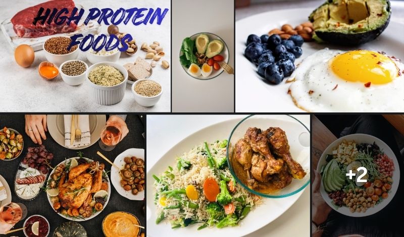 High protein foods